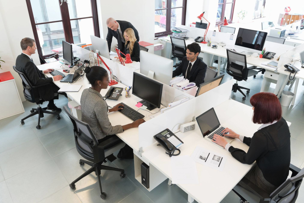 Comprehensive workplace solutions - Adri Ana